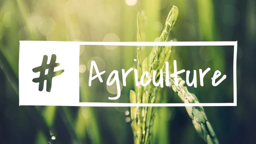 How to improve the social media presence of agricultural businesses